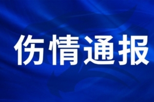 明日乌拉圭vs佛得角直播_明日乌拉圭vs佛得角直播在线观看_免费看直播