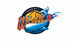 今日埃及女篮U17vs意大利U17女篮_今日埃及女篮U17vs意大利U17女篮在线观看_免费看直播